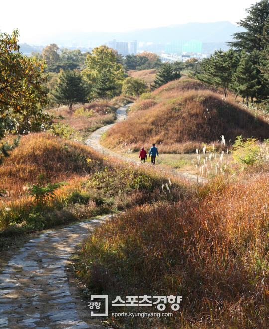 불로동고분군 213기에서 봉무정까지, 단산지 7.2km를 잇는 길