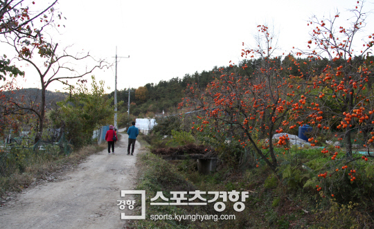 대구 봉무동 마을길을 소개한 사진입니다.