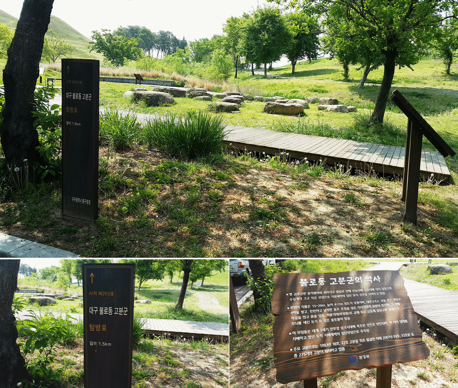 대구올레 팔공산 6코스 답사 기록의 산책 구간 사진입니다.