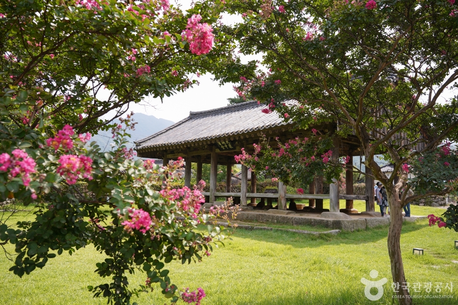 한밤마을 돌담길의 골목 풍경입니다.
