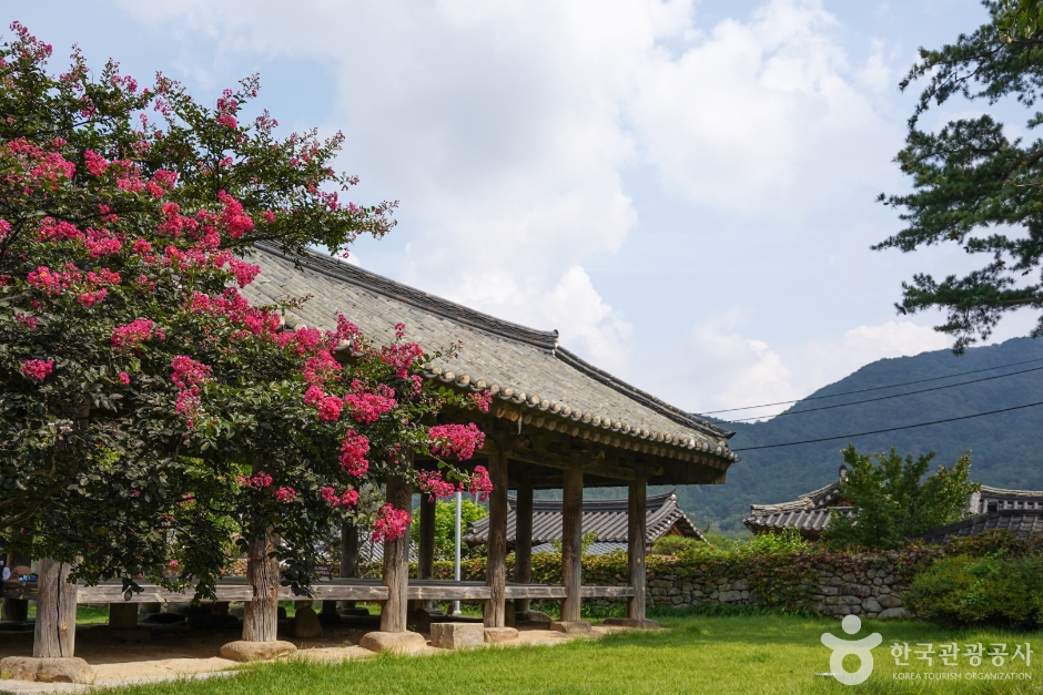 한밤마을 돌담과 마을길 전경입니다.