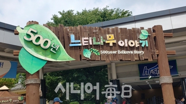 현풍휴게소 500년 느티나무 테마공원 입구입니다.