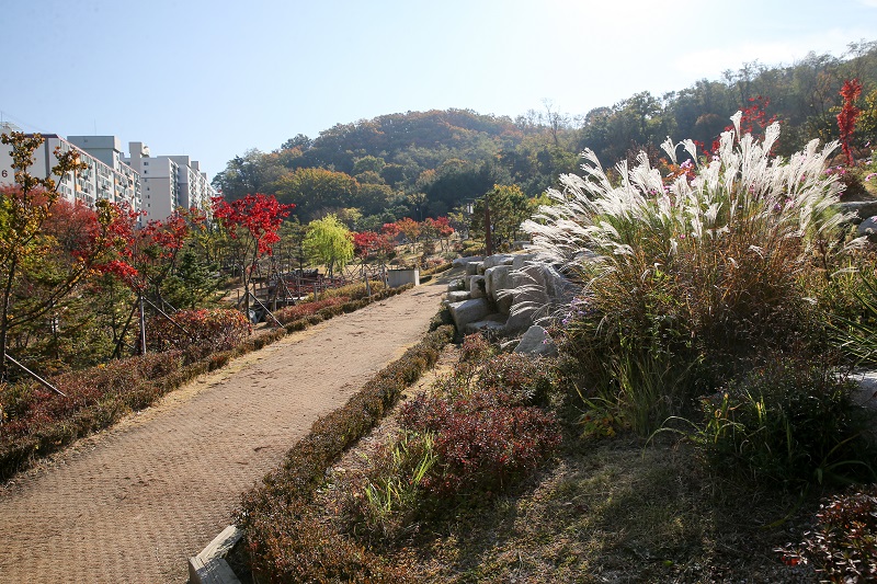 부천 소사내음길의 숲길 사진입니다.