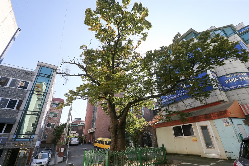 부천 소사내음길 주변 풍경 사진입니다.
