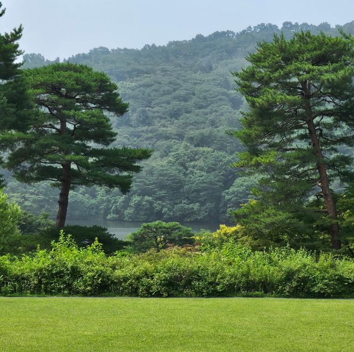 A Half-Day Exploring the Hoam Museum of Art: Between Heewon Pond and the 1982 Collection