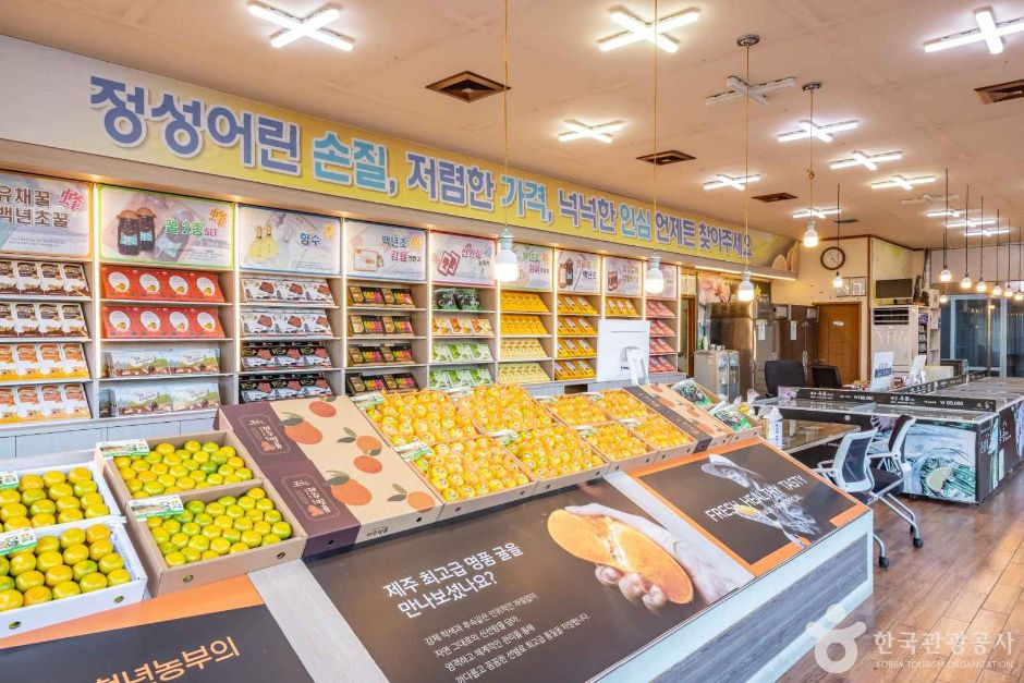 중문농수산물직판장 관련 안내 사진
