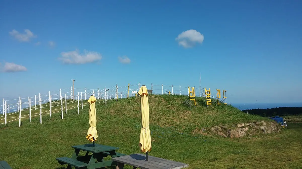 How to Enjoy Jeju Big Ball Land: Rolling Down the 300m Slopes of Songdang-ri