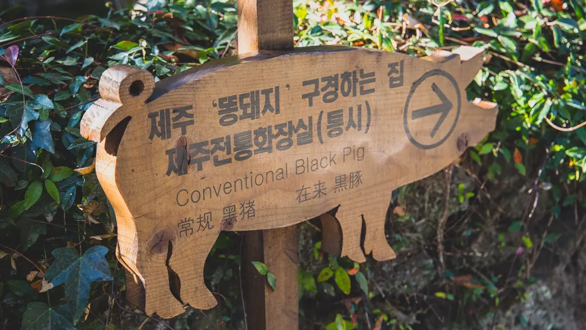 1890년대 제주를 한 바퀴에 읽는 표선 제주민속촌