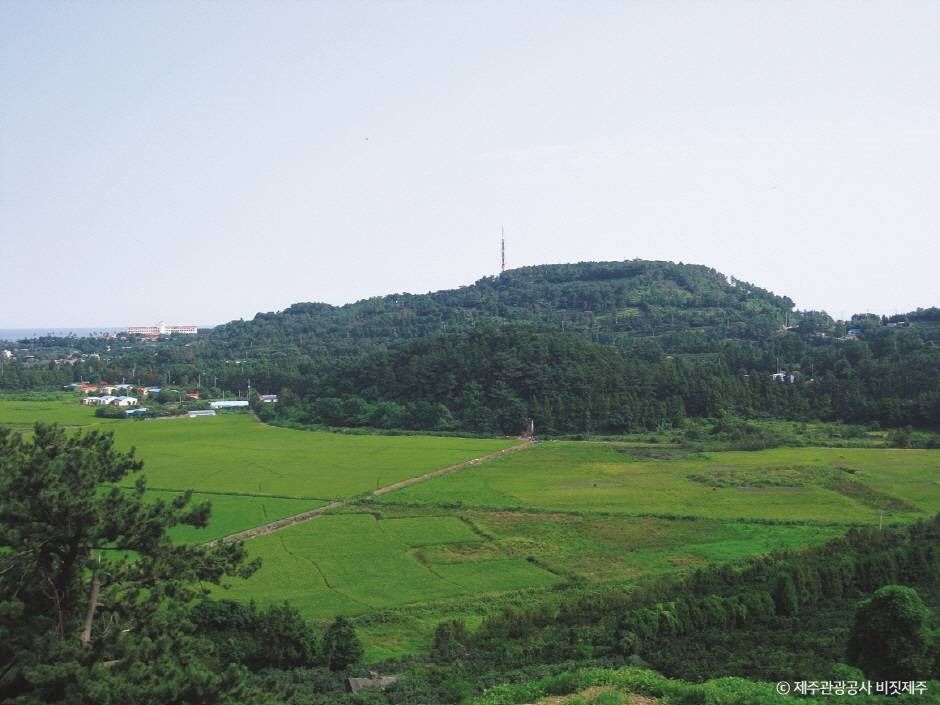 삼매봉 기슭에서 한라산을 마주하는 서귀포의 공공도서관