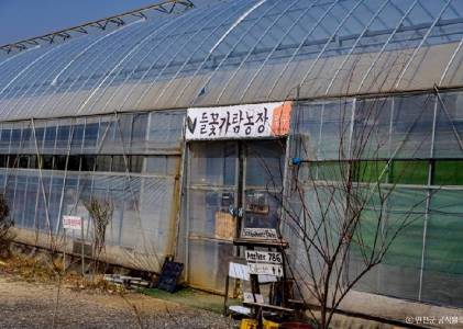 들꽃가람농장 안내 페이지에 실린 체험 사진입니다.