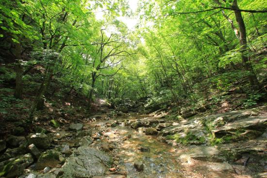 Yangpyeong Seoksan Valley, formed as the streams of Bongmisan Mountain wind around Sori-san Mountain