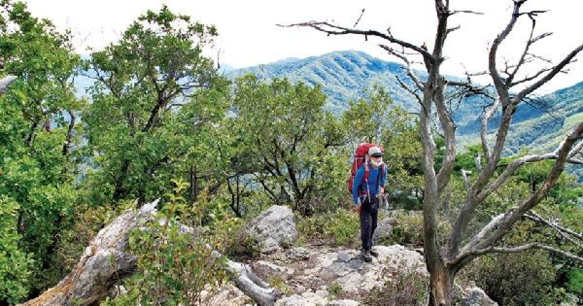 A 11,570 m² Nature Retreat Beneath Samtaebong: Myeongdal-ri Valley
