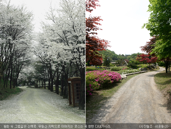 서운동산의 산책로 풍경입니다.