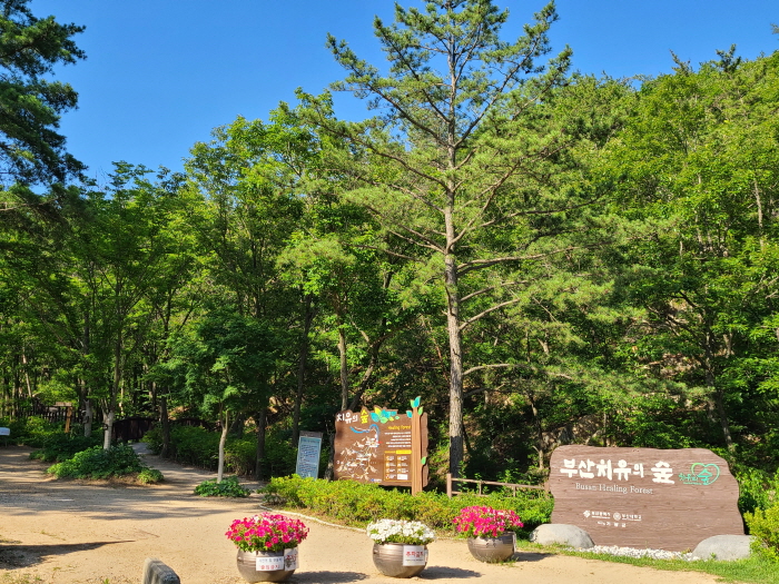 브라운피크닉 전경입니다.