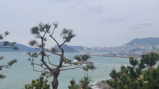오륙도 스카이워크에서 보이는 부산항과 영도 방향 전경입니다.