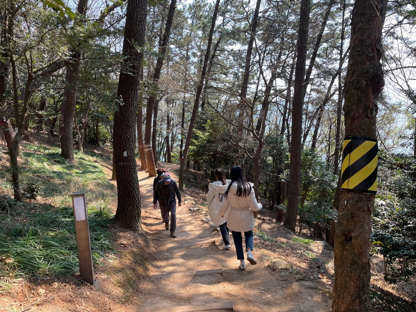 문탠로드와 달맞이길 주변 전경