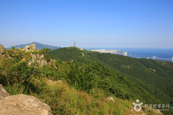 금련산 등산로 주변 전경