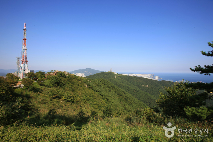 부산 금련산 전경