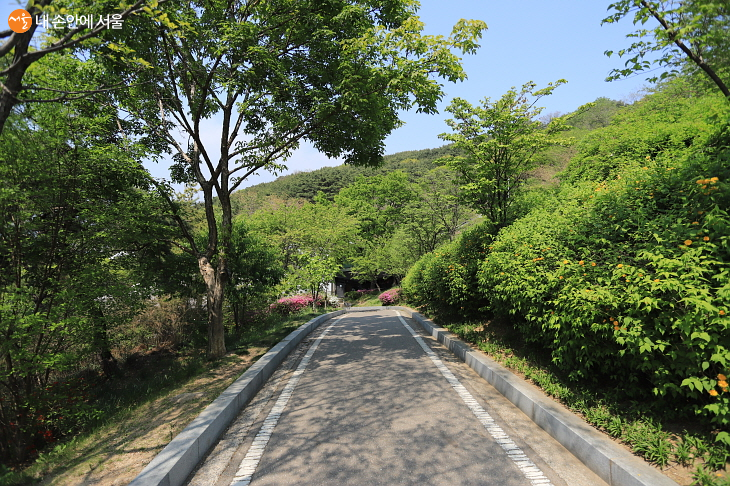 낙산공원의 숲길 산책로입니다.