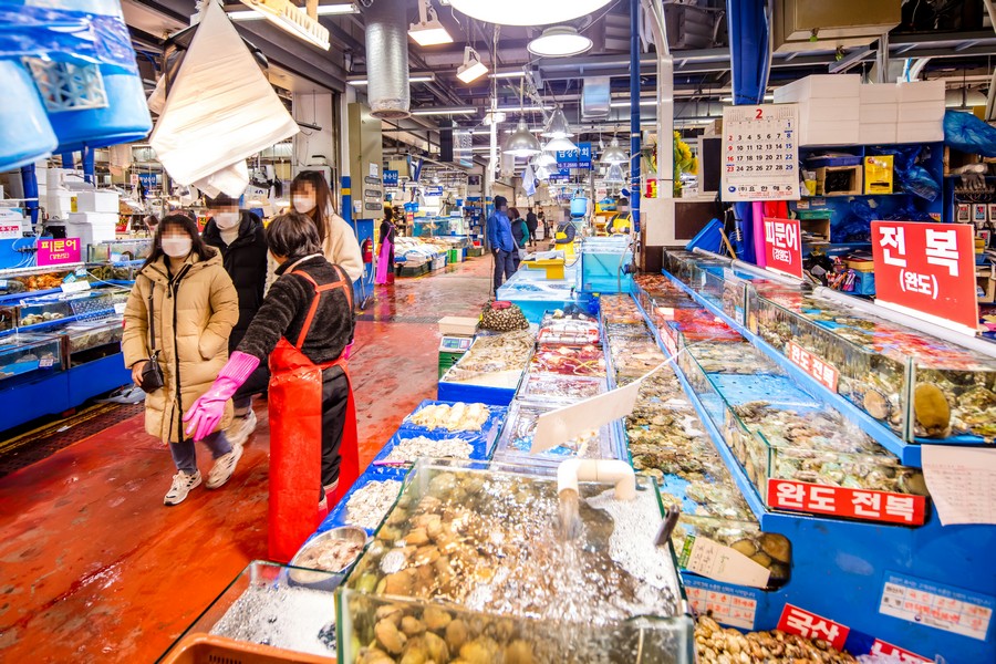 See the Rhythm of Dawn Logistics Up Close at Gangseo Agricultural Wholesale Market