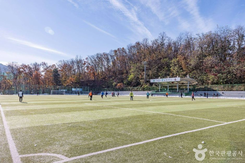 낙성대역 4번 출구에서 800m, 관악산 자락의 관악구민운동장