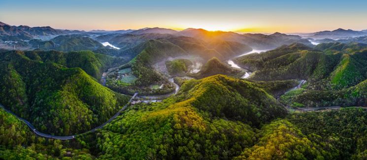 고래 사냥을 새긴 절벽, 반구대 암각화를 보는 순서