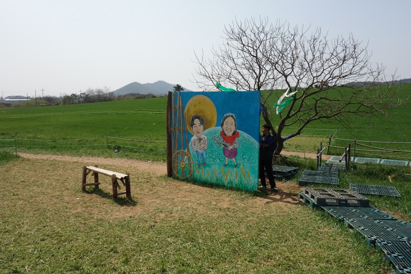 고창학원농장 보리밭 산책 구간입니다.