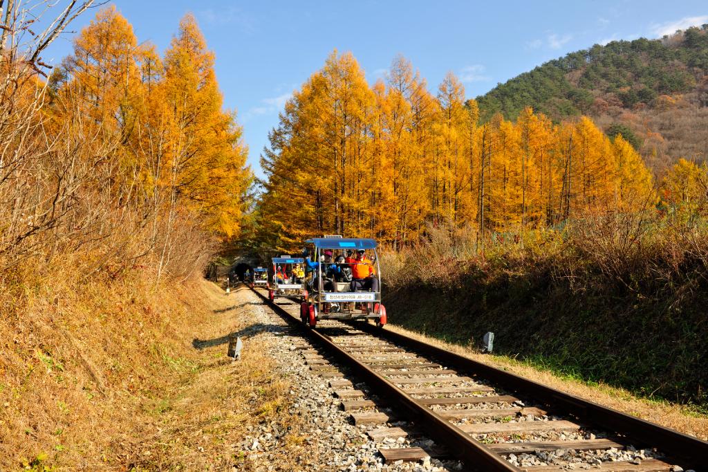 7.2 km from Gujeol-ri Station to Auraji: What to Know Before Riding the Jeongseon Rail Bike