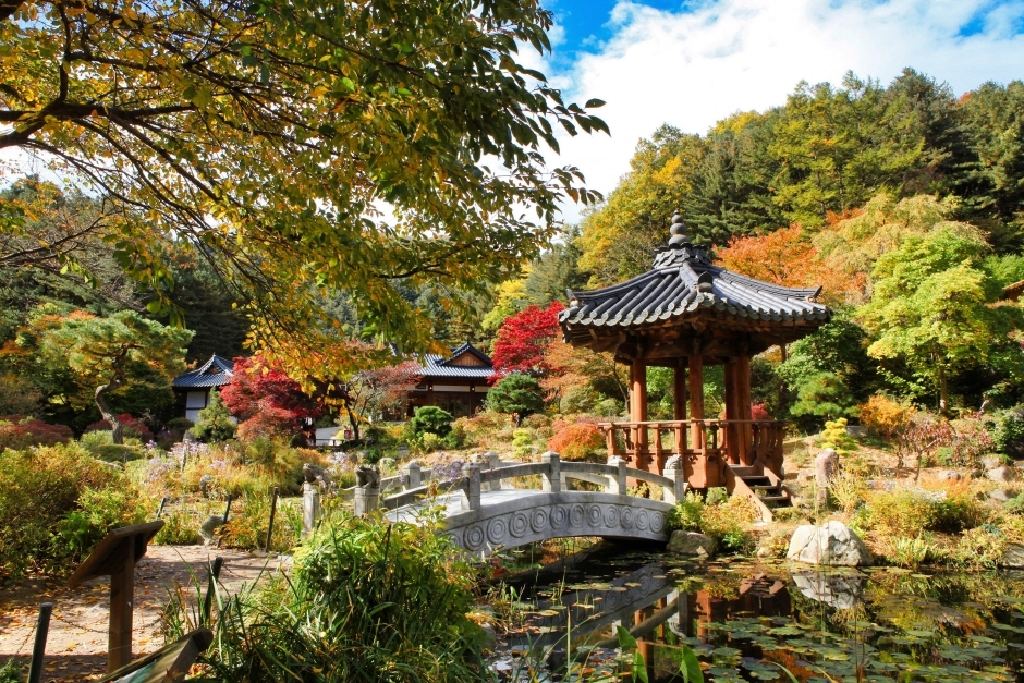 아침고요수목원 산책로 풍경입니다.