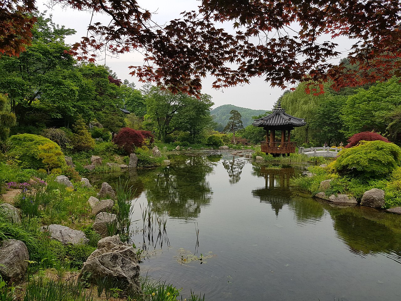 아침고요수목원 호수 풍경입니다.