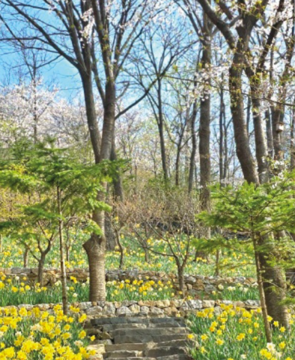 화담숲 공식 인스타그램 출처의 봄철 화담숲 이미지입니다.