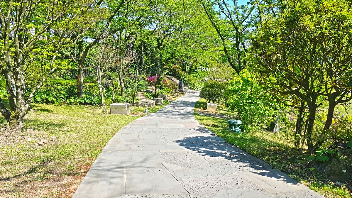 오설록녹차박물관 외부 산책로 사진입니다.