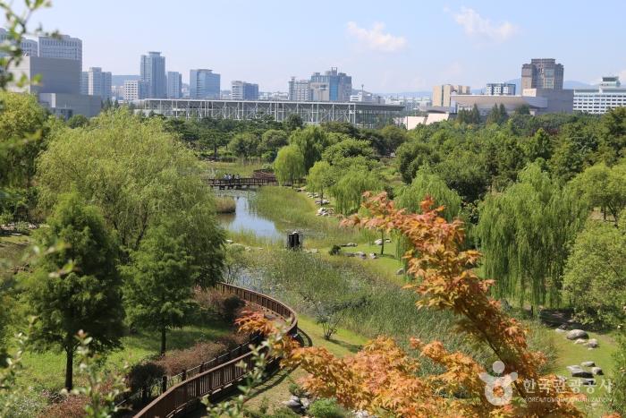 정부청사와 엑스포 사이, 42만㎡ 한밭수목원을 걷는 법