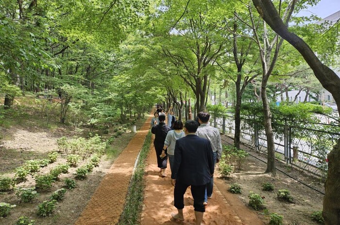 한밭수목원 맨발걷기 산책로
