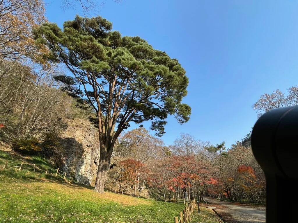 고창 선운사 도솔암 장사송의 모습입니다.