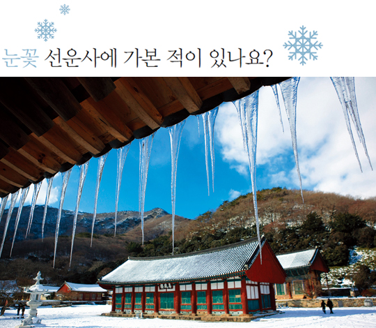 겨울 고창 선운사 전각 처마의 고드름입니다.