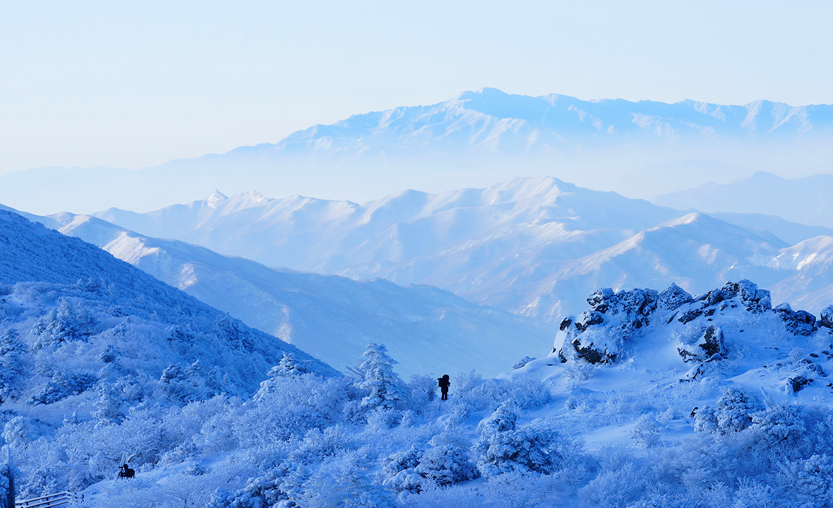 0.6 km to Hyangjeokbong at 1,614 m: The Shortest and Highest Route through Muju Deogyusan
