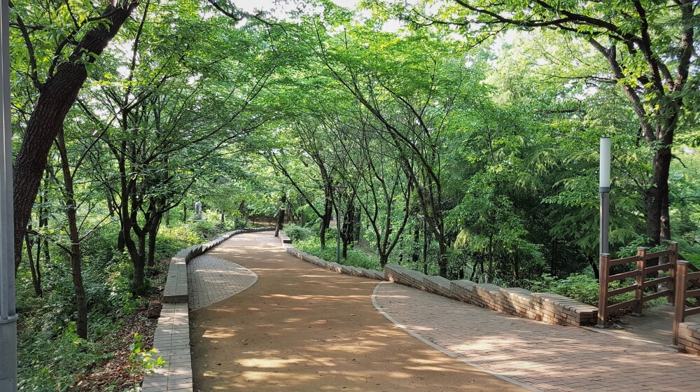 사직공원 산책로 전경입니다.