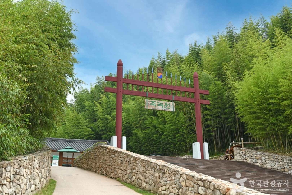 성인산 대숲 2.2km를 따라 걷는 담양 죽녹원
