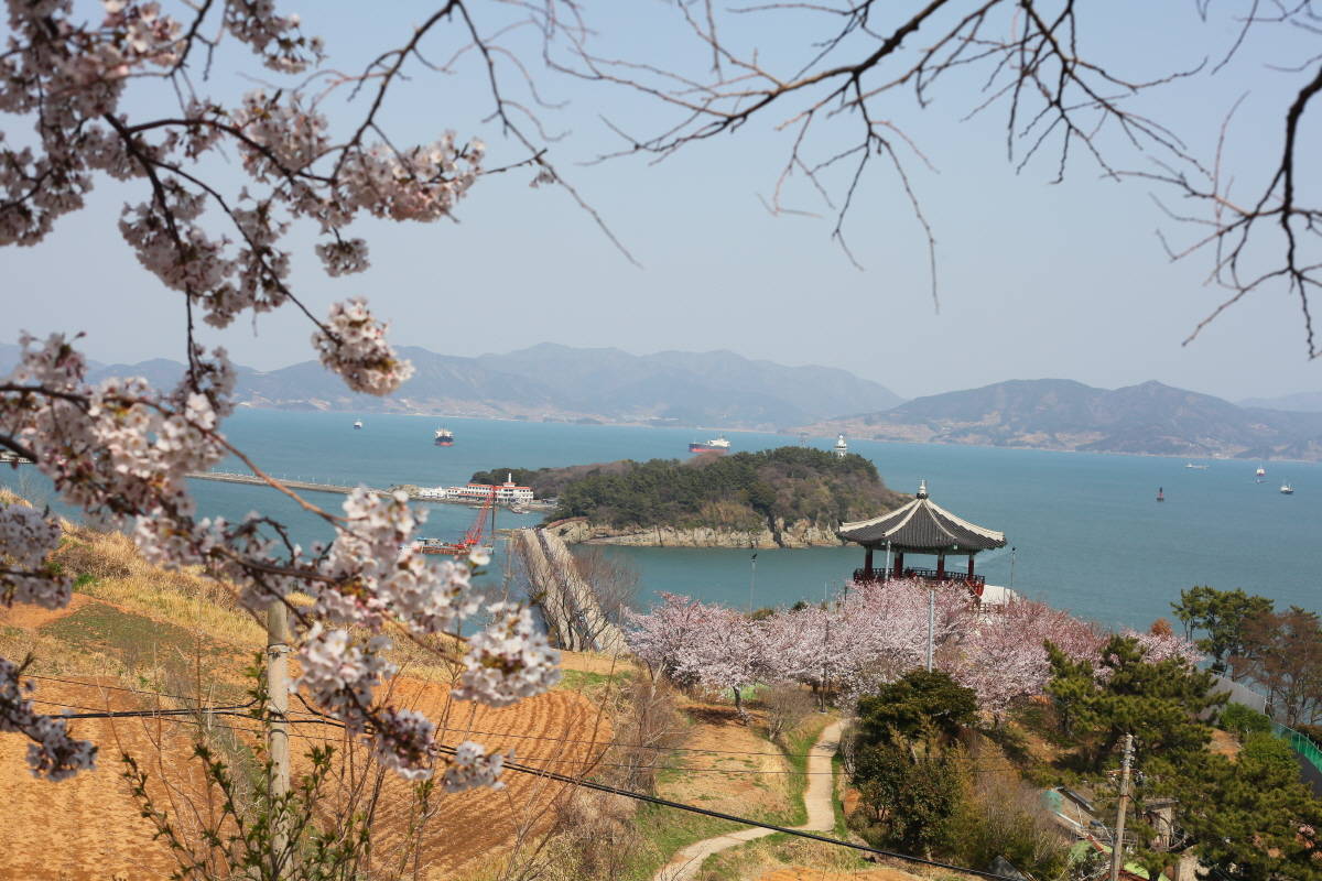 여수 오동도 전경입니다.