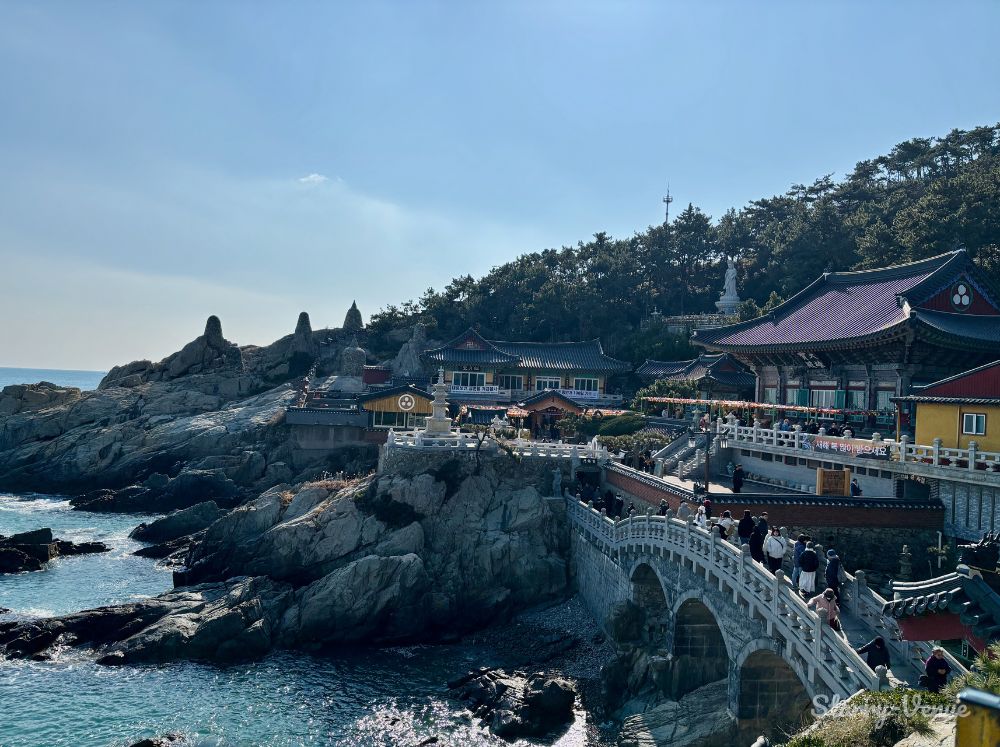 바다 절벽 위 해동용궁사 전경입니다.