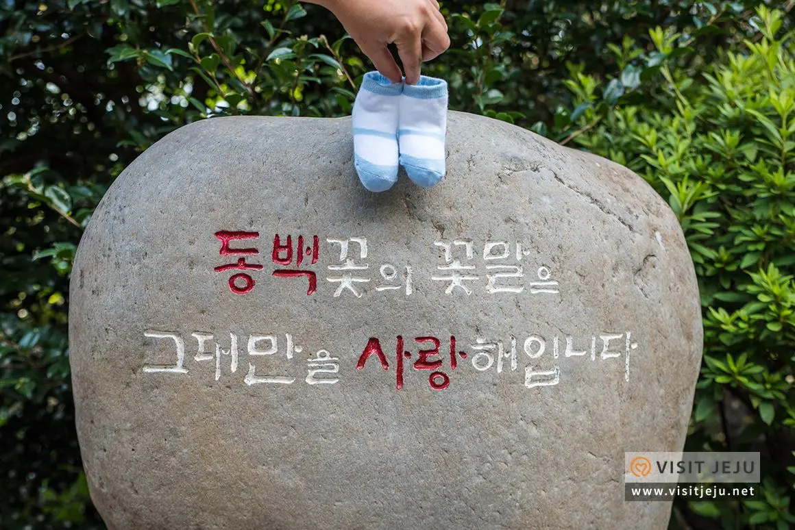 카멜리아힐 이미지 2/5