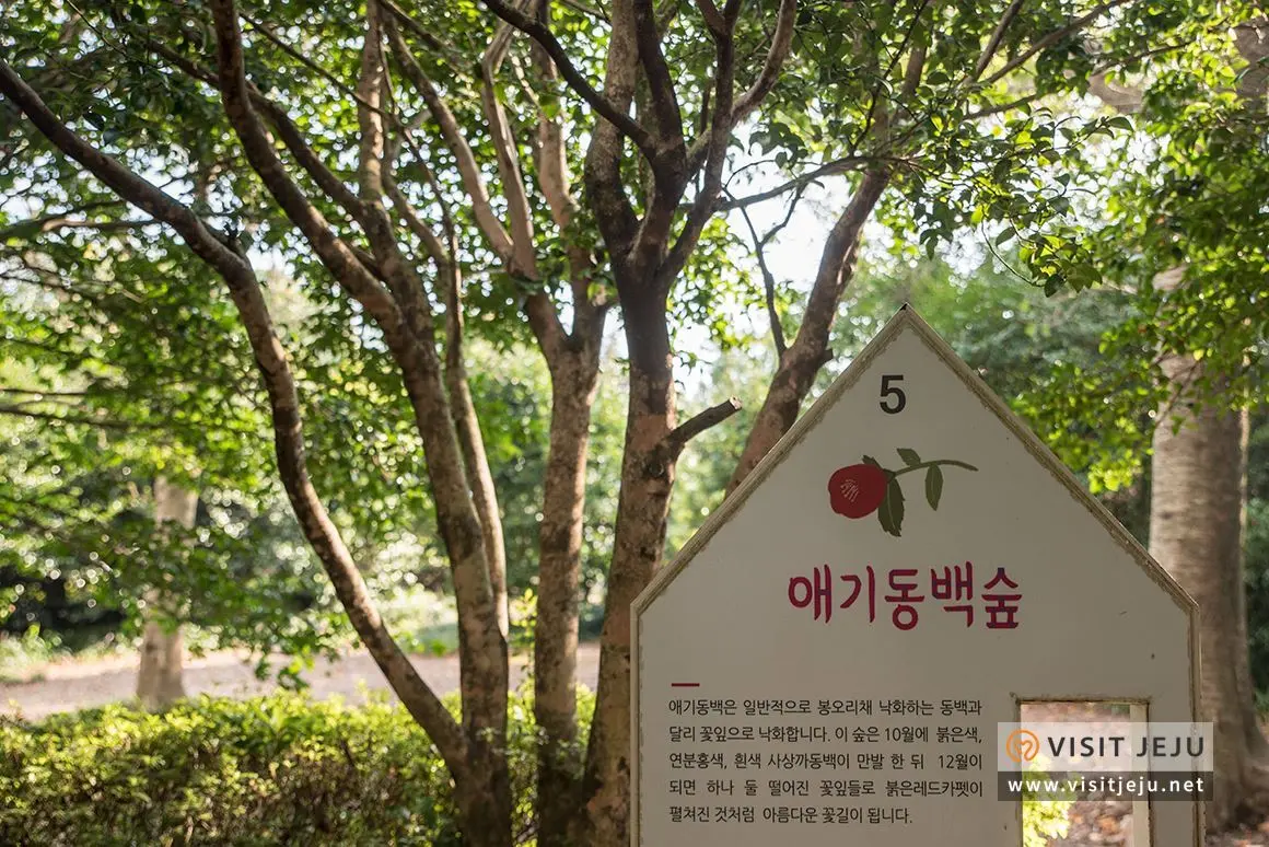 카멜리아힐 이미지 4/5