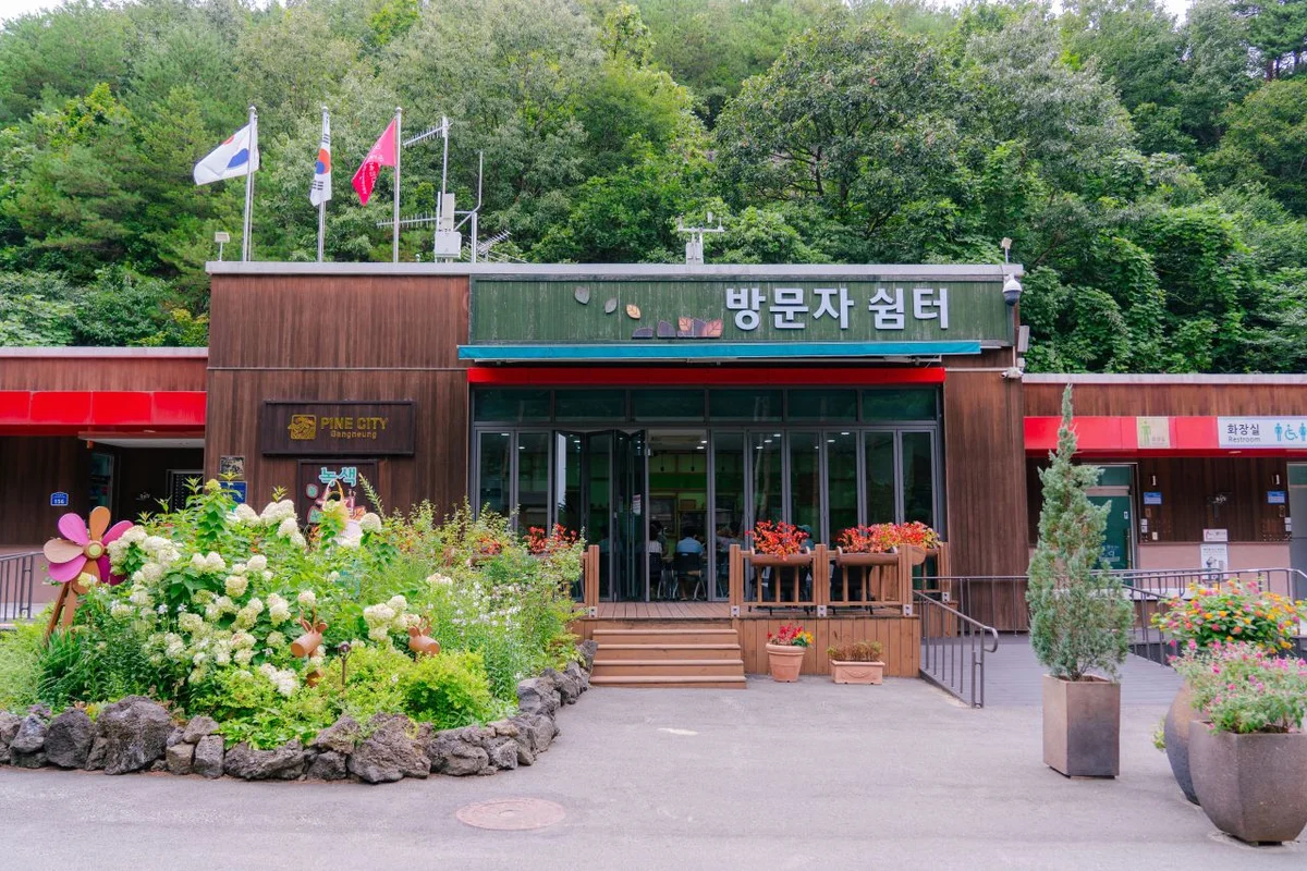 가야산 700m 자락에서 만나는 해인사와 팔만대장경의 보존 방식