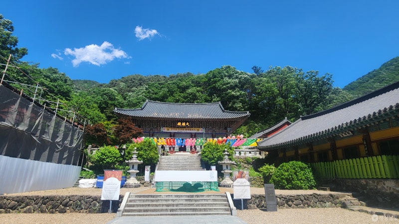 하동 쌍계사와 지리산 계곡 주변 풍경입니다.