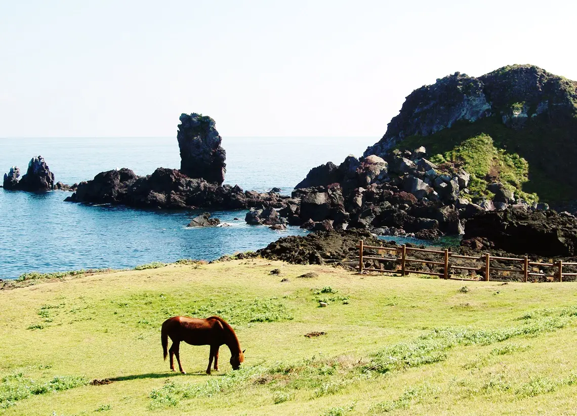성산일출봉을 마주 보는 화산 곶, 섭지코지의 90분