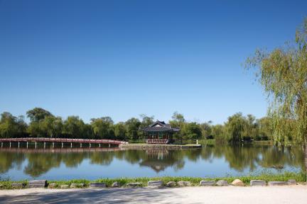Walking the Waterways of Buyeo Gungnamji, Dating Back to the 35th Year of King Mu
