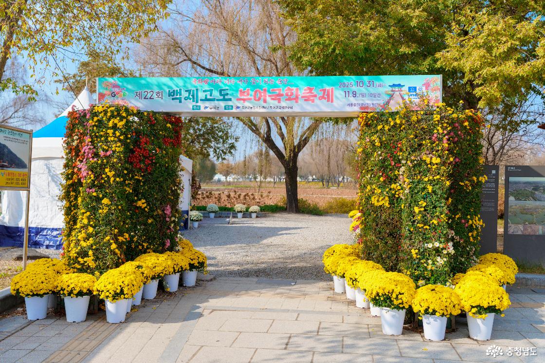 2025년 가을 궁남지에서 열린 백제고도 부여국화축제 모습입니다.
