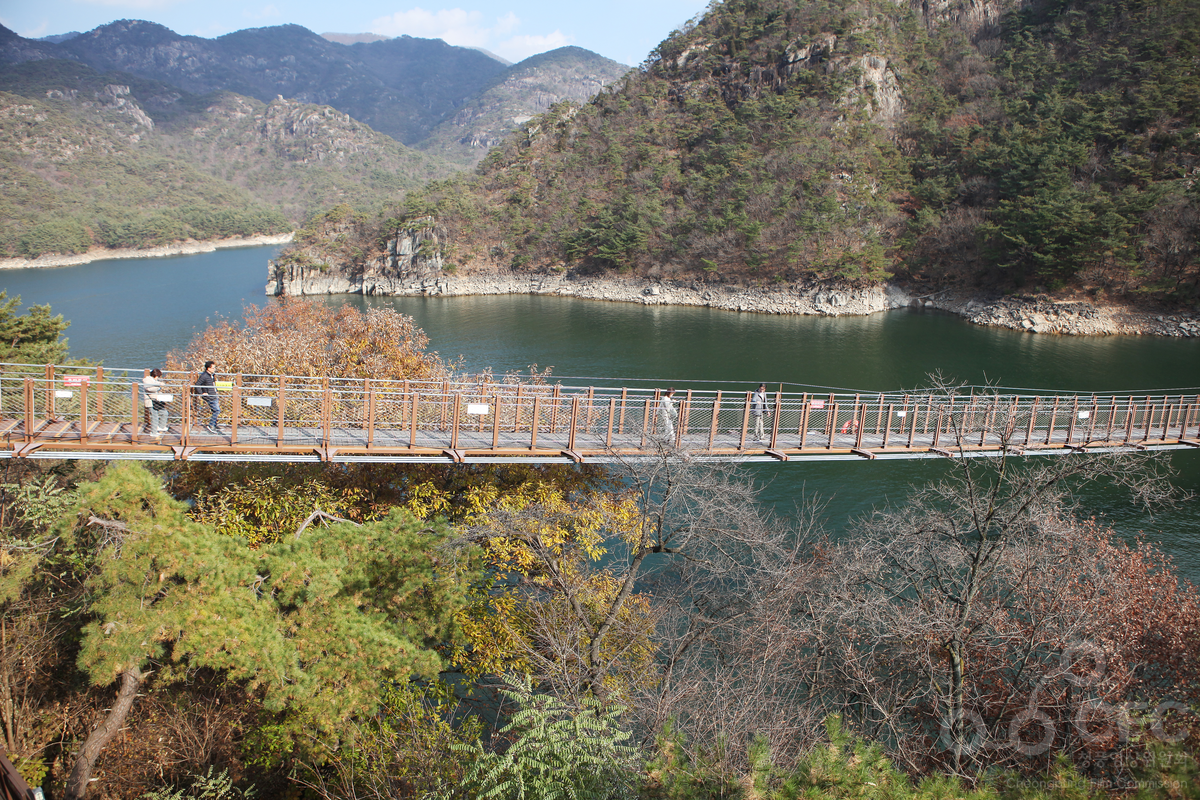 제천 옥순봉 출렁다리의 호반 보행 구간입니다.