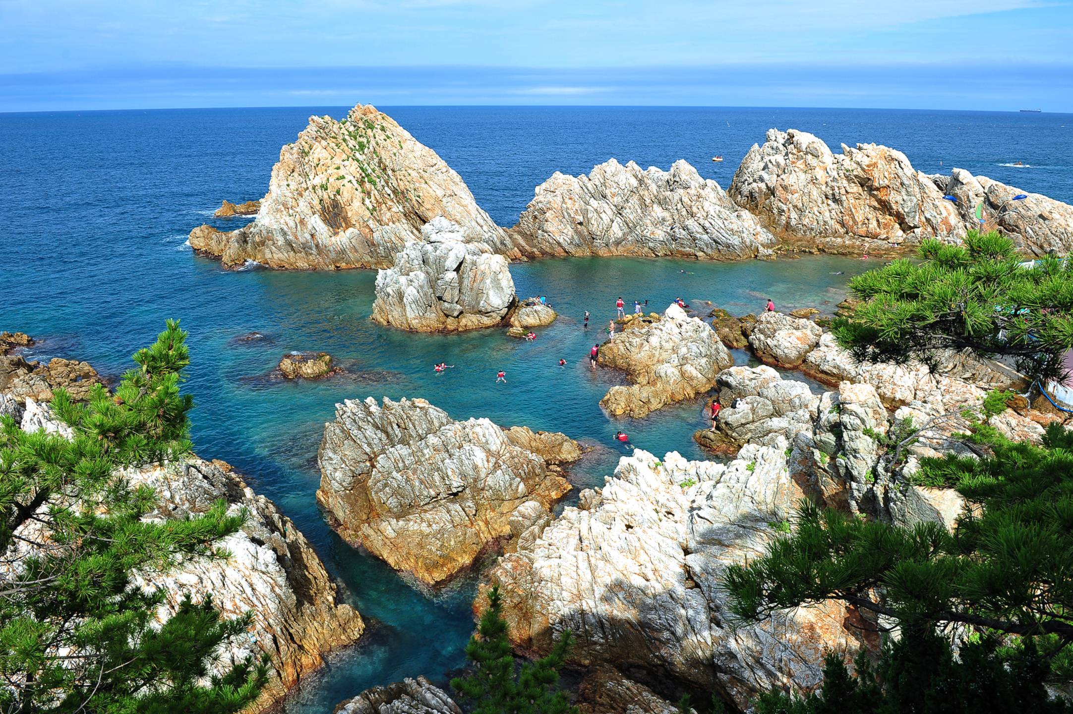 Samcheok Jangho Port Through a 30-Minute Transparent Kayak Ride and the Tokkideung Coastline